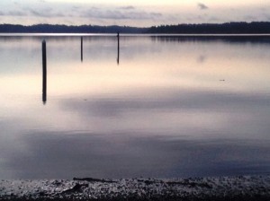 Arash Del portfolio (10)                             