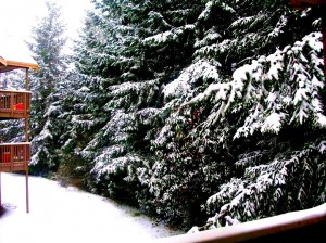 Snow in PNW                        